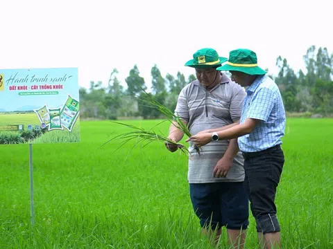 Làm giàu nhờ đổi mới tư duy trên vùng đất phèn