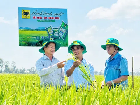 Đất khỏe, cây khỏe, người nông dân thêm niềm tin