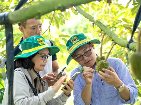 Bình điền: 30 năm lấy tri thức làm nền tảng và bước chuyển chiến lược cho nông nghiệp xanh
