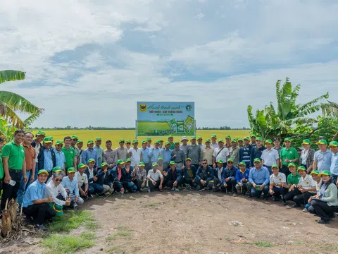 Bình Điền kết nối tri thức nông nghiệp Việt Nam – Campuchia từ những cánh đồng thực tiễn