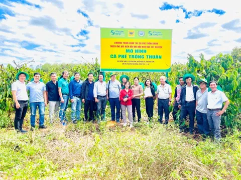 Xanh hoá từ nhà máy đến ruộng vườn