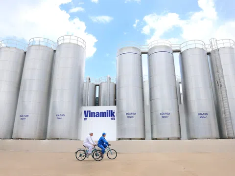 50 năm Vinamilk: Khi “đạt chuẩn” chưa phải là điểm dừng