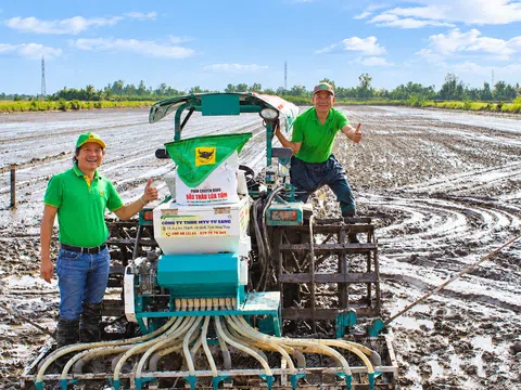 Hiệu quả mô hình lúa – tôm và sức khỏe đất sau mỗi mùa vụ