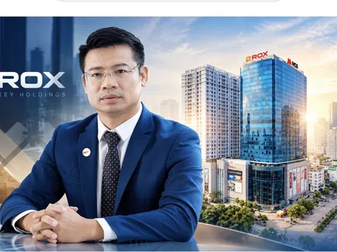 Ông Nguyễn Việt Sơn trở lại vị trí Chủ tịch sau gần 3 năm rời ROX Key Holdings