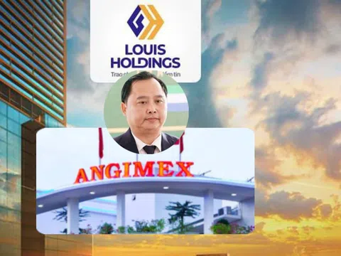 Sau nửa năm đầu tư, Louis Holdings của bị can Đỗ Thành Nhân muốn thoái hết vốn khỏi Angimex