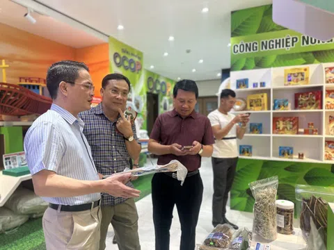 Phó Giám đốc Sở Công Thương Quảng Bình Phan Hoài Nam: Phát triển du lịch cộng đồng gắn với sản phẩm OCOP là cách làm hay