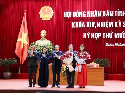 Ông Nghiêm Xuân Cường làm Phó Chủ tịch UBND tỉnh Quảng Ninh