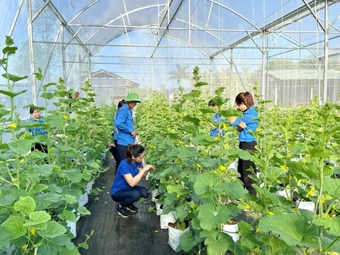 Nông nghiệp xanh - Hướng phát triển bền vững tại Quảng Bình