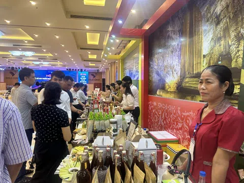 Quảng Bình: Du lịch nông nghiệp và sản phẩm OCOP cần cái “bắt tay siết chặt” giữa các ngành