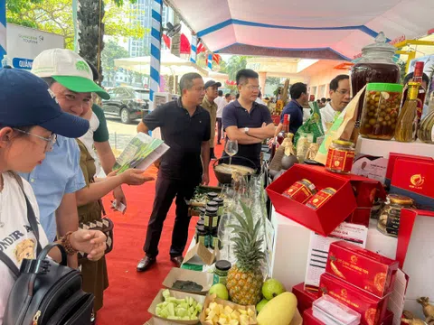 Quảng Bình: Tìm đầu ra cho các sản phẩm công nghiệp nông thôn tiêu biểu qua sàn thương mại và kết nối giao thương