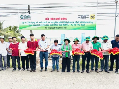 Công ty CP Phân bón Bình Điền đẩy mạnh Dự án "Xây dựng mô hình canh tác lúa giảm phát thải phục vụ phát triển bền vững vùng nguyên liệu lúa gạo xuất khẩu của ĐBSCL"