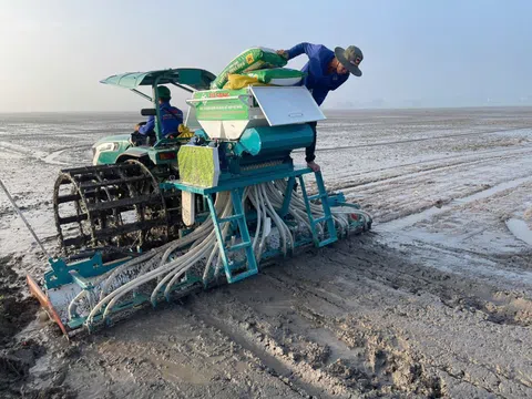 Lợi ích của phân bón cải tạo đất