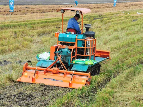 Đầu Trâu Bio-Canxi từ lời kể của nông dân trong mô hình đến hiệu quả lan tỏa trong sản xuất lúa