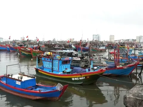 Quảng Bình kêu gọi tàu thuyền tránh trú bão số 1