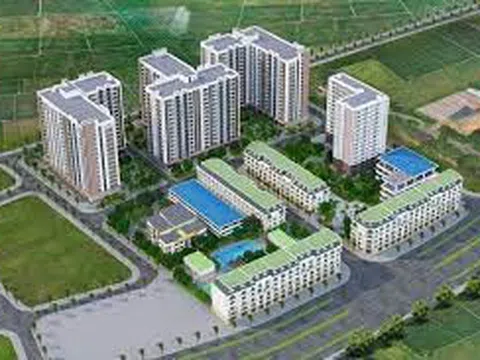 Bình Định chấp thuận chủ trương đầu tư Dự án Nhà ở xã hội Long Vân gần 1000 tỷ đồng