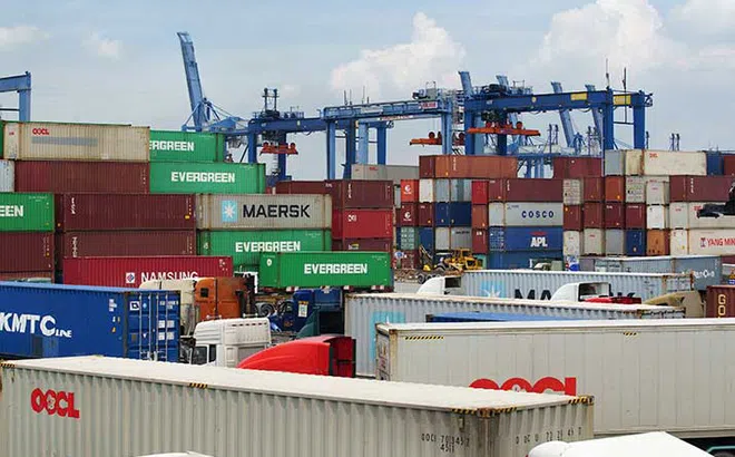 Xuất khẩu gạo sang Trung Quốc gặp khó