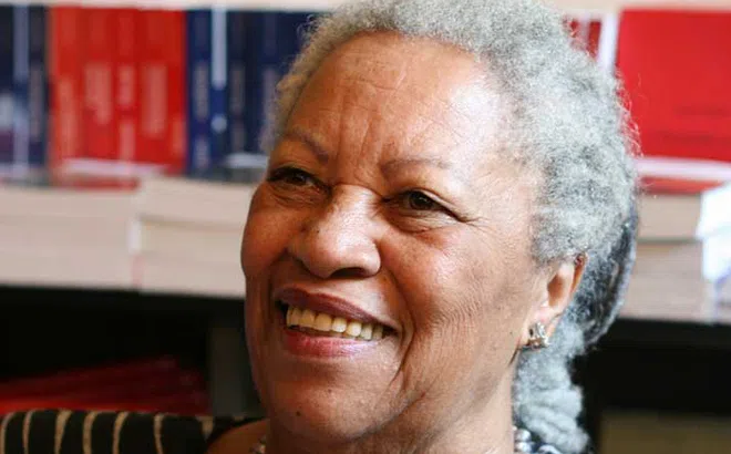 Dù con chim đó không ở trong tay