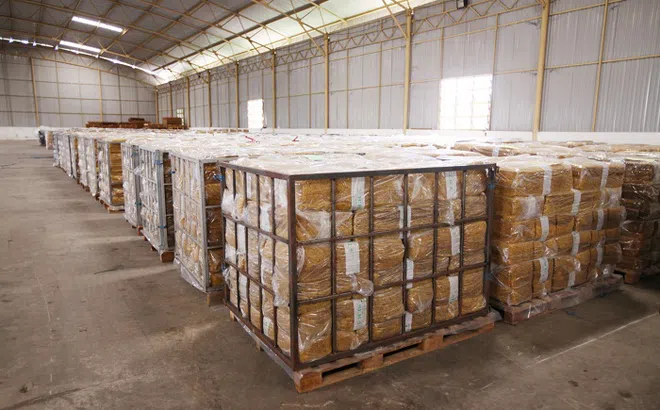 Sau một năm, nợ vay của Hoàng Anh Gia Lai Agrico giảm hơn 4.100 tỉ đồng