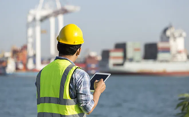 Chi phí logistics Việt Nam -  châu Âu tăng mạnh
