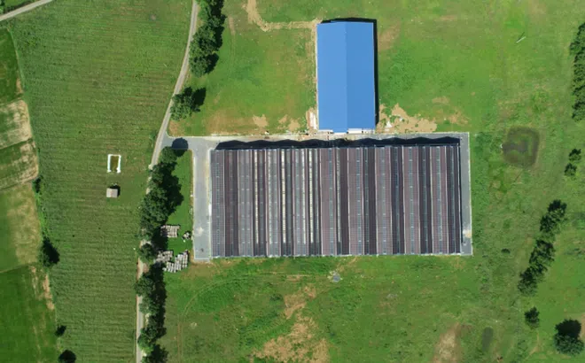 Giới trẻ với chuỗi giá trị nông nghiệp