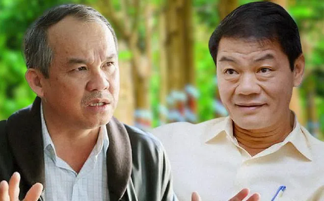 Dòng tiền từ Thaco quan trọng như thế nào đối với HAGL Agrico?