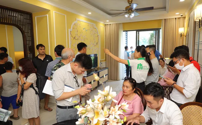 Vì sao căn hộ chung cư Hà Nội lại “đắt hàng”?