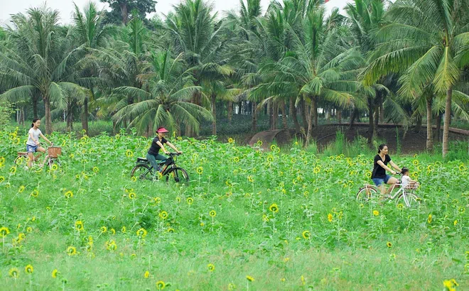 Ecopark và hành trình bền bỉ kiến tạo “gia tài” xúc cảm