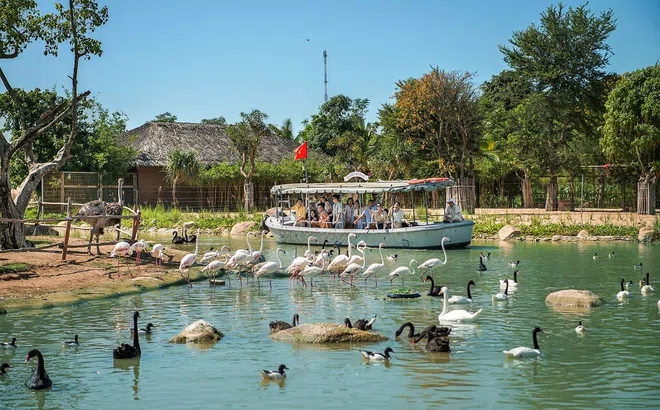 Chân dung nghề “bảo mẫu động vật hoang dã”