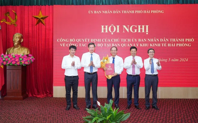Hải Phòng: Bổ nhiệm cán bộ chủ chốt Sở, Ban