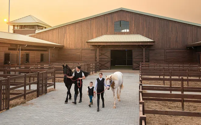 Du khách hào hứng khám phá bộ môn mã thuật tại Vinpearl Horse Academy Vũ Yên