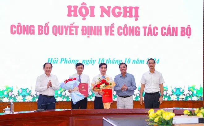 Hải Phòng: Điều động, bổ nhiệm cán bộ Ban Tổ chức Thành uỷ và Sở Nội vụ