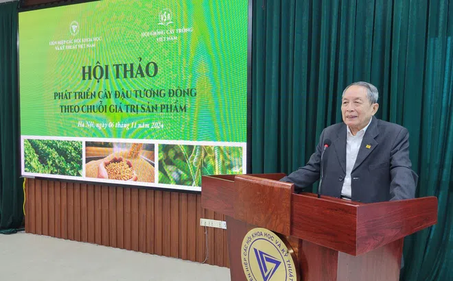 Đề xuất giải pháp phát triển chuỗi giá trị sản phẩm cây đậu tương vụ Đông