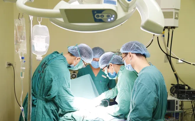 Giải pháp tăng cường miễn dịch, hỗ trợ điều trị và phòng bệnh mãn tính, ung thư