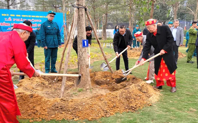 Hà Nội: Quận Nam Từ Liêm phát động “Tết trồng cây đời đời nhớ ơn Bác Hồ” Xuân Ất Tỵ 2025