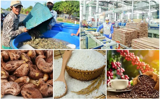 Nông sản, thực phẩm và đồ uống đẩy mạnh xuất khẩu để khẳng định giá trị
