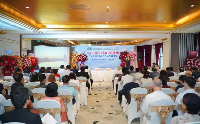 VAFIE tổ chức thành công Đại hội lần thứ VI nhiệm kỳ 2025 - 2030