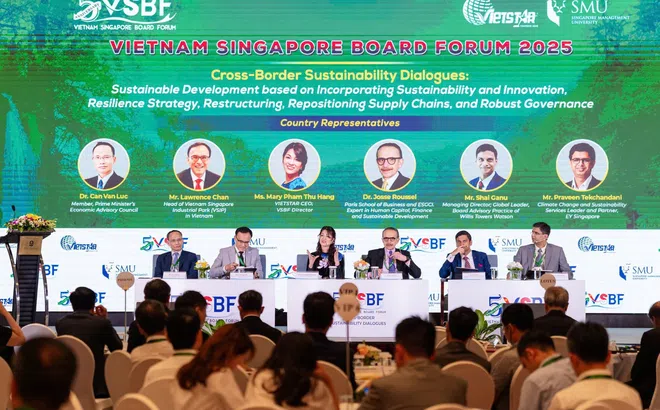 VSBF 2025 đánh dấu cột mốc 5 năm thúc đẩy phát triển bền vững của khu vực ASEAN