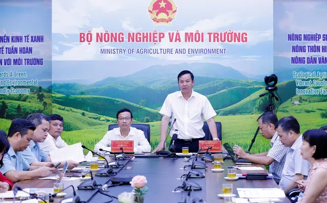 Tháo gỡ những khó khăn khi thực hiện phân quyền, phân cấp trong lĩnh vực trồng trọt và bảo vệ thực vật