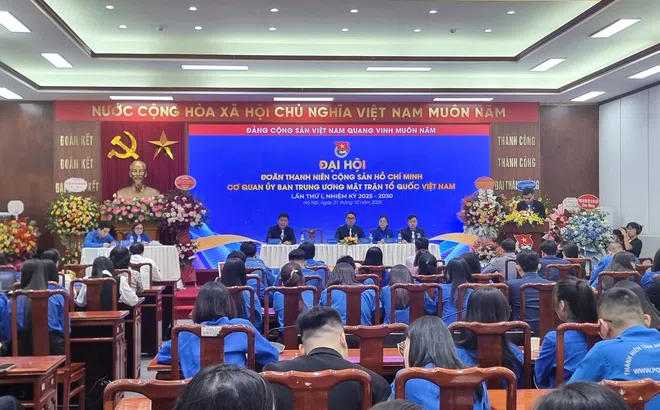 Tuổi trẻ Cơ quan Ủy ban Trung ương MTTQ Việt Nam – Xung kích, sáng tạo, tiên phong trong chuyển đổi số