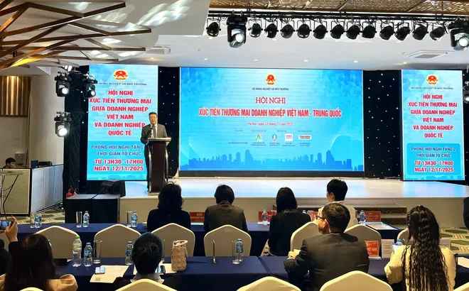 Doanh nghiệp Việt Nam – Trung Quốc tăng cường kết nối, thúc đẩy tiêu thụ nông sản song phương