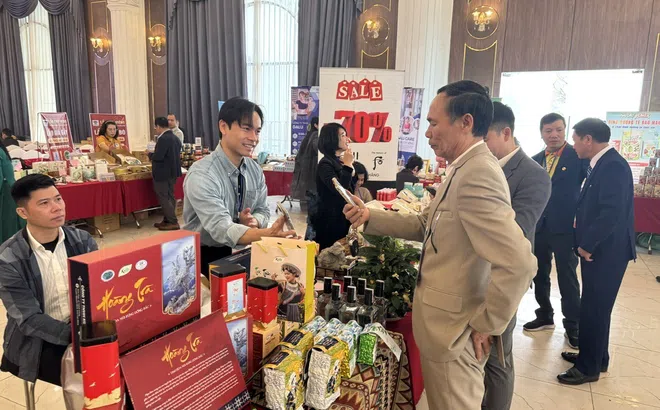 Cộng đồng doanh nhân dòng họ Hoàng – Huỳnh đẩy mạnh liên kết, phát huy vai trò kinh tế tư nhân