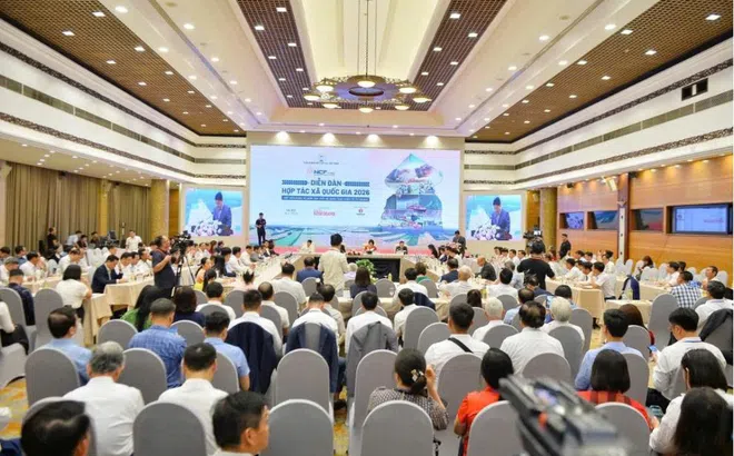 Diễn đàn Hợp tác xã Quốc gia 2026: Kết nối kinh tế hợp tác với hệ sinh thái kinh tế tư nhân