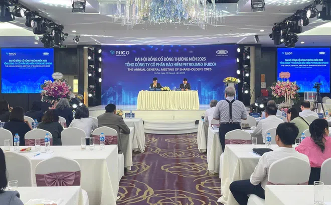 PJICO báo lãi hơn 300 tỷ đồng, kỳ vọng tăng trưởng ổn định năm 2026