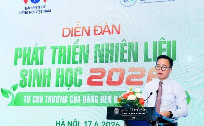 Phát triển nhiên liệu sinh học 2026: Từ chủ trương của Đảng đến hành động quốc gia