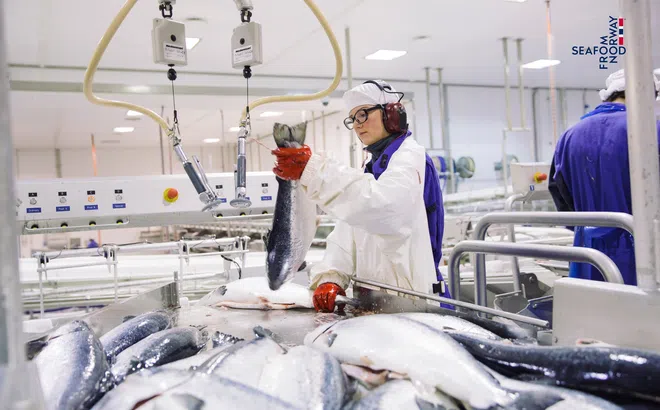 Hiệp định Thương mại Tự do Việt Nam – EFTA đàm phán thành công, mở đường cho tăng trưởng hải sản Na Uy mạnh mẽ hơn