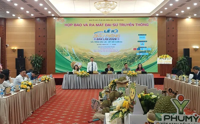 Lễ hội Sầu riêng Đắk Lắk năm 2026: Hành trình vươn tầm quốc tế của nông sản Việt