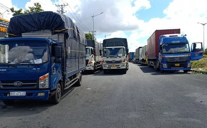 Cần xóa ngay giấy phép con hành doanh nghiệp