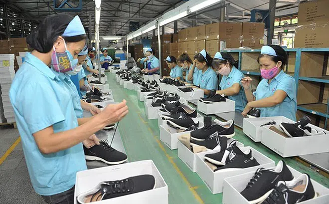 60% doanh nghiệp da giày đối diện nguy cơ bị nhãn hàng phạt vì giao hàng chậm