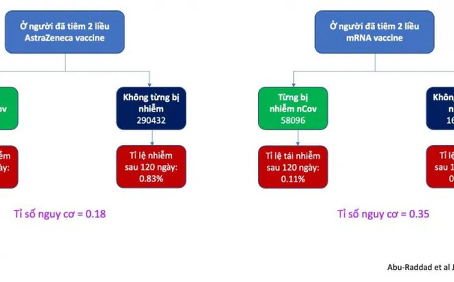 Miễn dịch tự nhiên ở người tiêm vaccine ra sao?