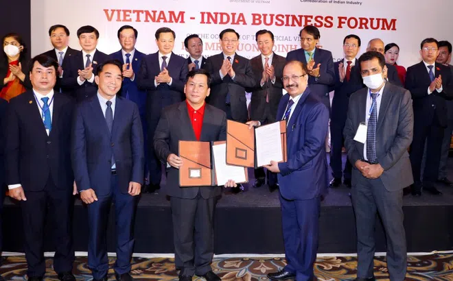 Tập đoàn SOVICO hợp tác với Tập đoàn HCL Technologies Limited nghiên cứu, ứng dụng công nghệ